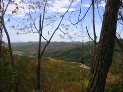 vue finca paquera costa rica